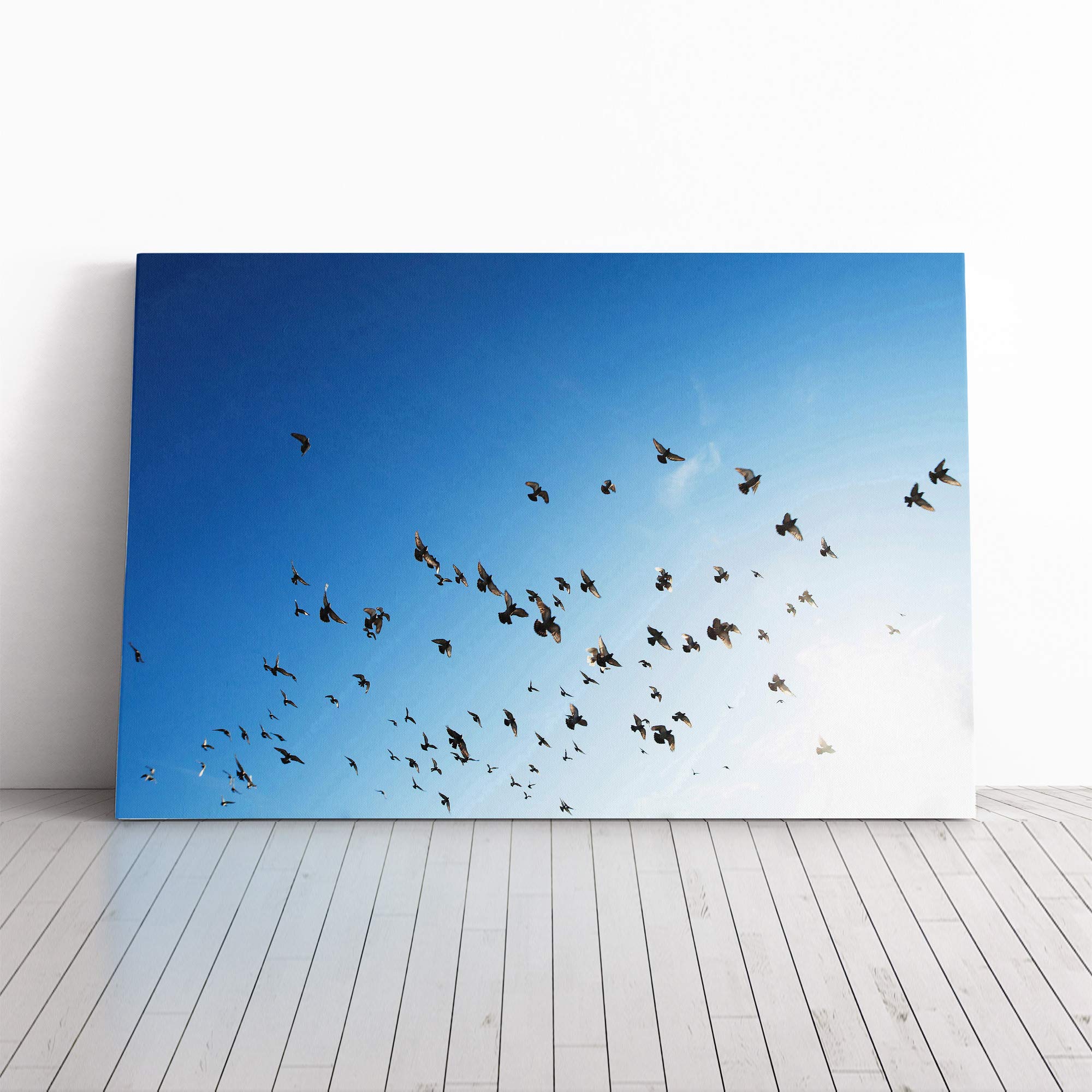Pigeons Birds Flying Canvas Print | Gallery Wrapped 30mm Frame Wall Art | 24x16 inches | Ready to Hang | Modern Bird Picture | Living Room Bedroom Lounge Office