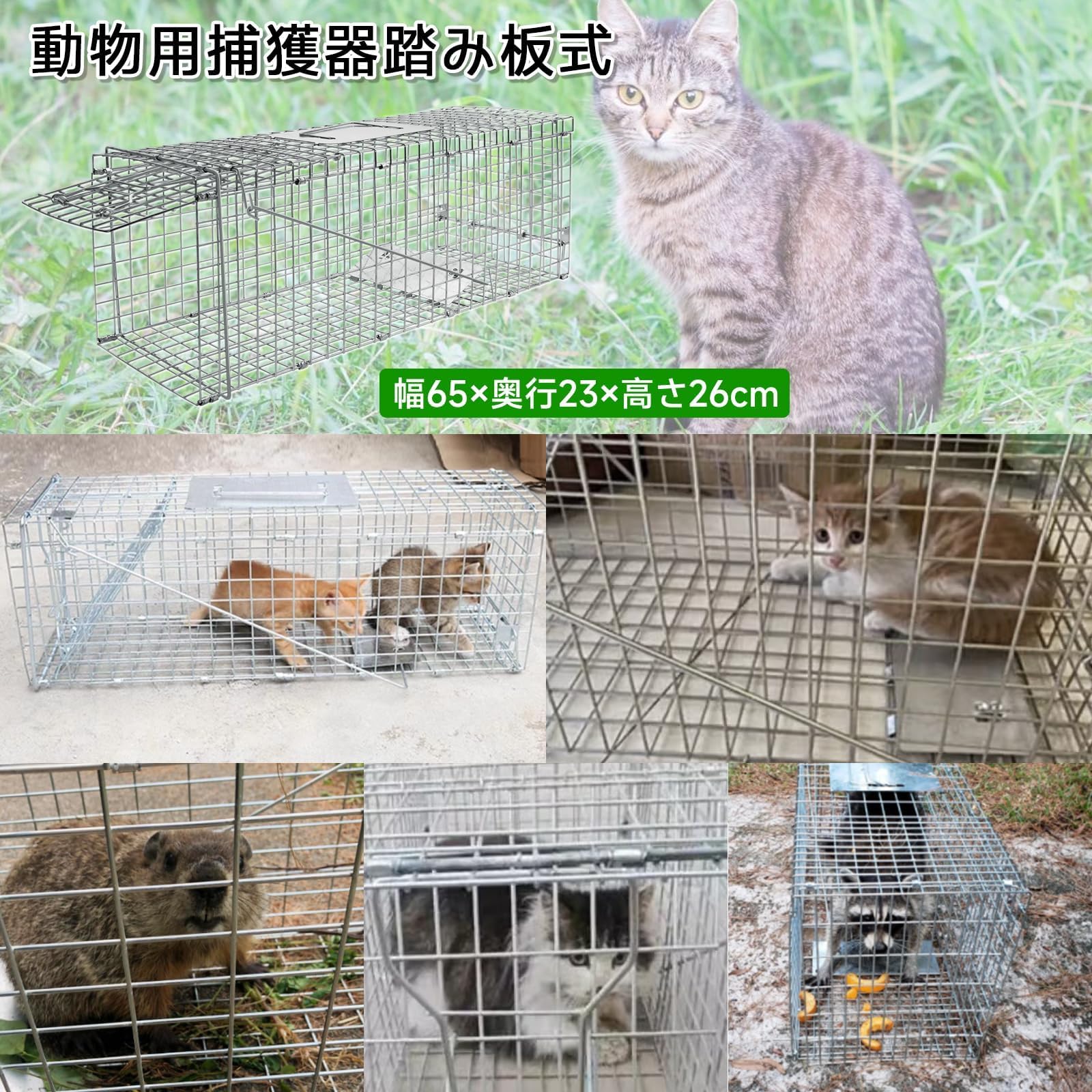 Amazon | Vevesoas 捕獲器 猫 安全 踏み板式 トラップ 動物用 猫の保護