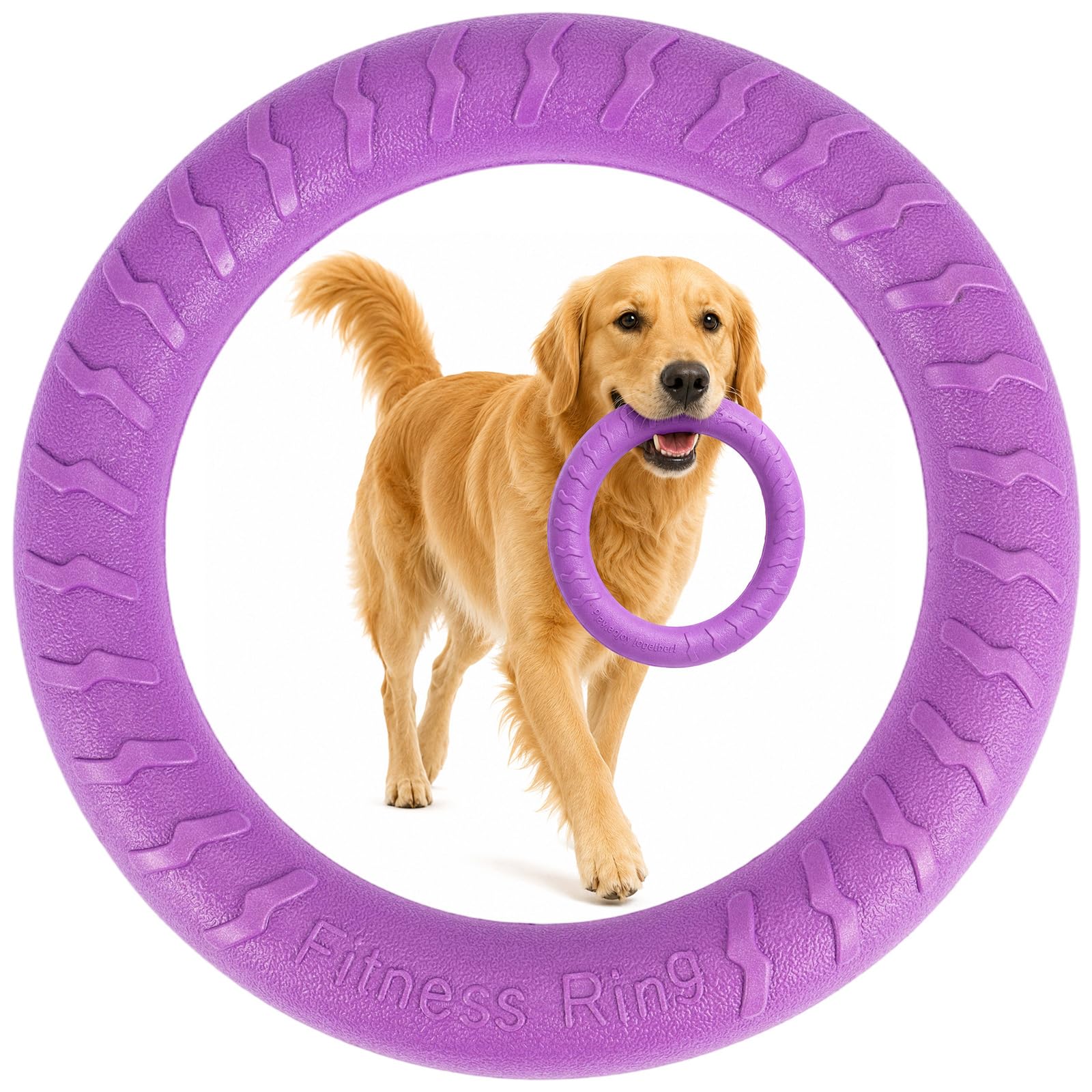 EVERGOODS Dog Fitness Ring 28cm for Bite Training, Heavy Duty Natural Rubber Tug of War Toy for Small Medium Large Dogs, Interactive Teeth Cleaning Agility Chew Toy for Outdoor Indoor Play