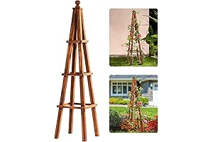 Acacia Wood Obelisk Trellises for Climbing Plants