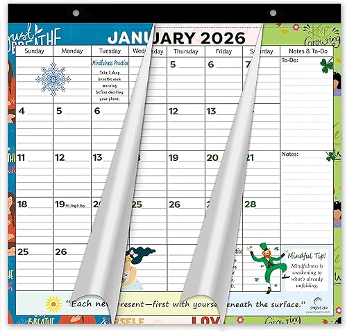 StriveZen - Calendario magnético para refrigerador 2025-2026 de StriveZen, mensual, papel, atención plena, julio de 2025 a diciembre de 2026, 10 x