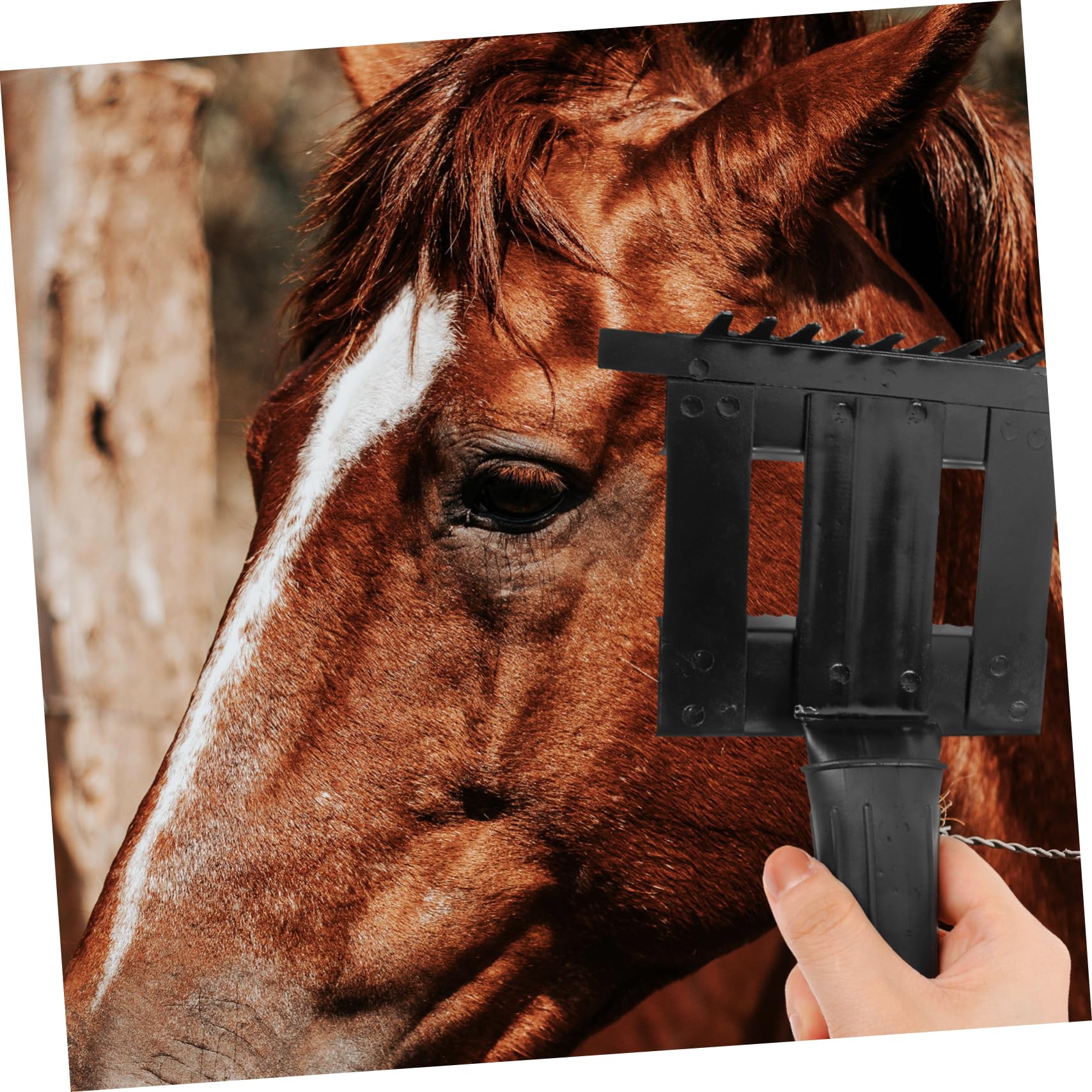 Kisangel Cepillo Ergonómico Para Caballos 4 Unidades Mango Antideslizante Cepillo Para Limpiar El Pelo De Mascotas Peine Suministros Para El Cuidado De Caballos.
