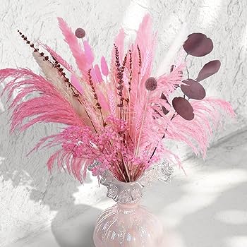 パンパスグラス ドライフラワー 815V1ruypeL._UF350,350_QL80_.jpg