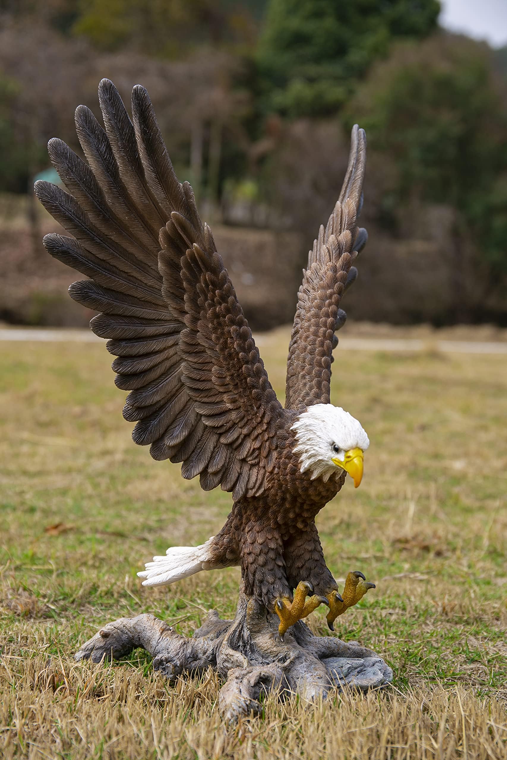 Flying Eagle Statue