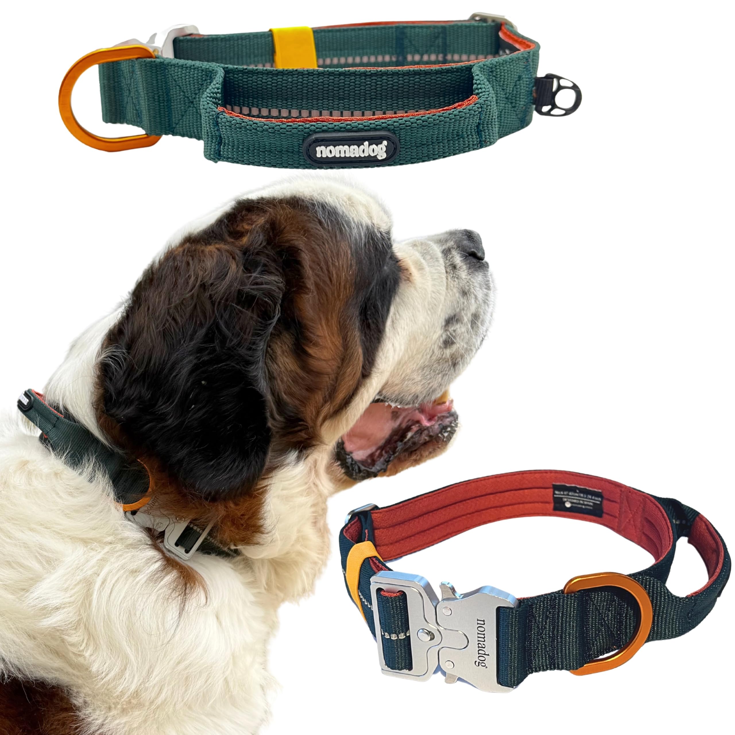 Nomadog Trailblazer Hundehalsband mit Griff für Große Hunde - Premium Aluminium Schnalle, Strapazierfähiges taktisches Halsband, Verstellbar, Gepolstert, Reflektierend (XL)