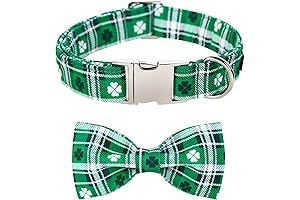 Lionet Paws St Patricks Day Dog Collar with Bowtie: Express Your Pup's Irish Spirit!
