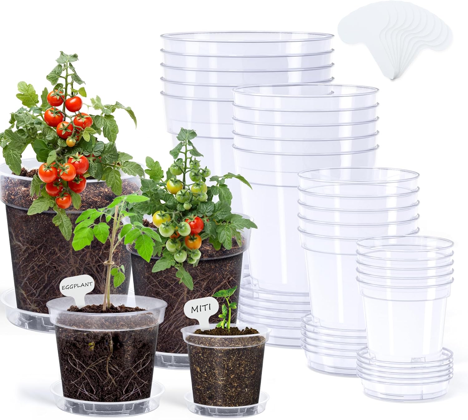 homenote 3/4/5/6 Inch Clear Nursery Pots 20 Pack with Drainage and Plant Saucers, Variety Pack Rigid High-Transparency Plastic Nursery Pots for Plants, Planter Nursery Pots with 10 Labels