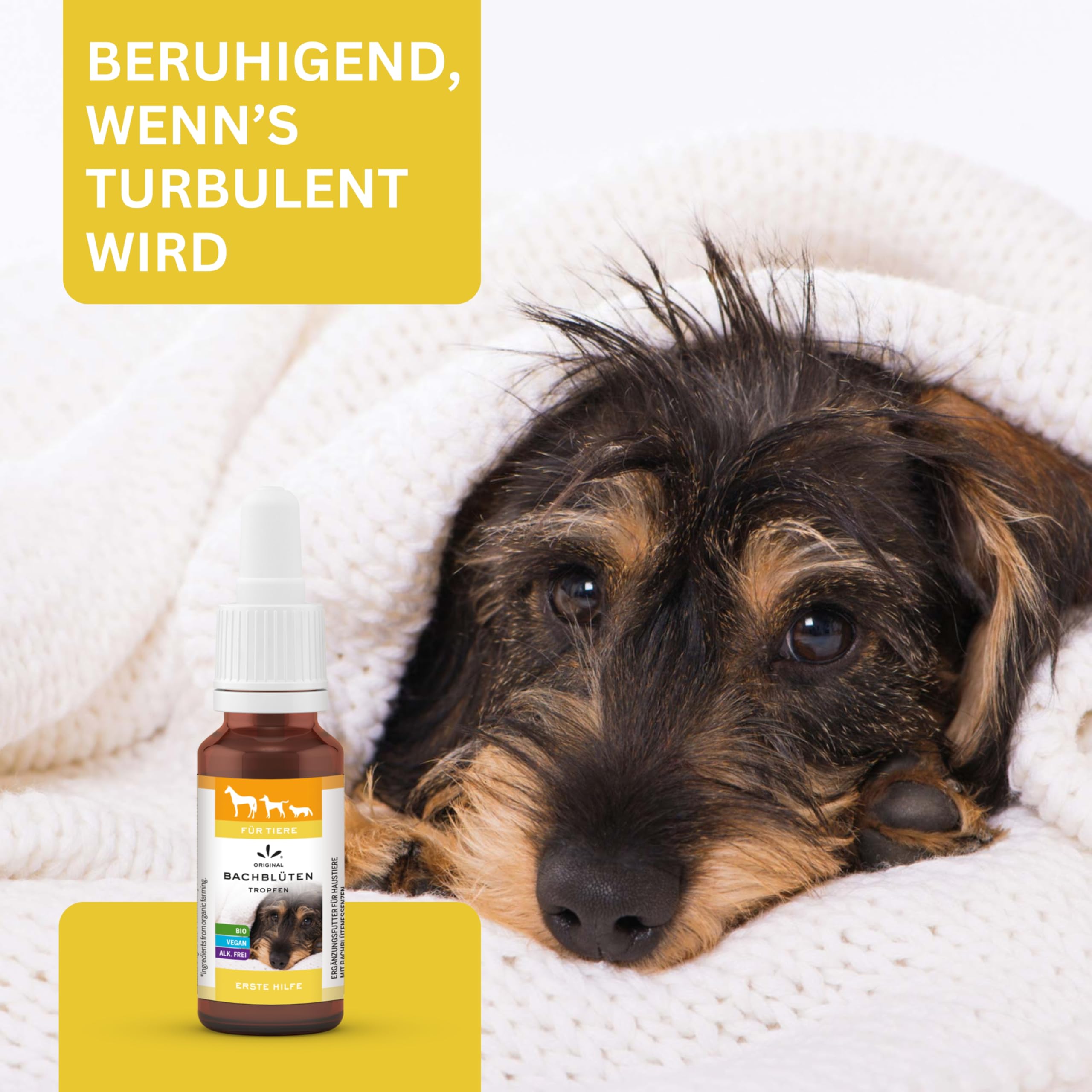 Lemon Pharma Bachblüten Tropfen Erste Hilfe für Tiere – Beruhigung, Anti Stress für Haustiere, für Katzen und Hunde, Bio & Vegan