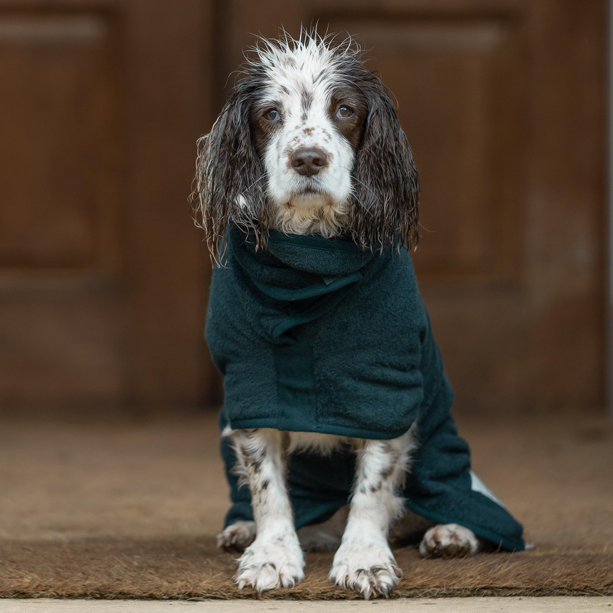 Ruff and Tumble Dog Drying Coat - Classic Collection, Forest, DM - Image 2