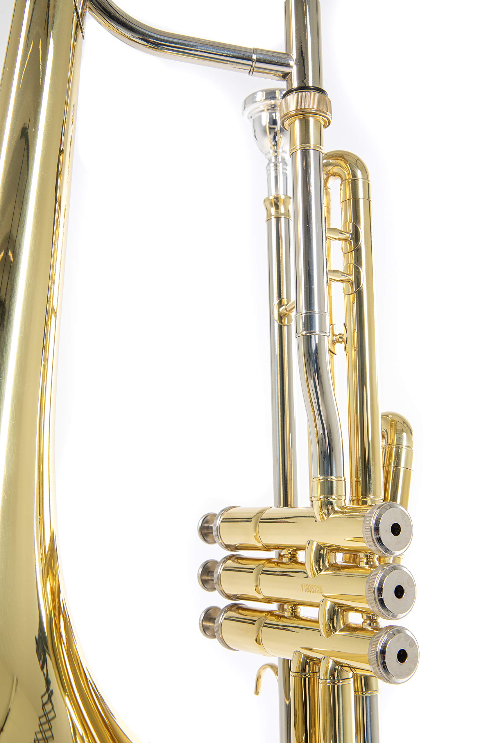 Roy Benson Bb valve trombone VT-227 (campana in ottone Premium da 8", tubo principale e archetto in alpacca, 3 valvole in acciaio inox, strumento di punta per musicisti professionisti)