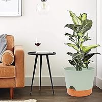 Vista 13 de GARDIFE 10/9/8 inch Plant pots, planters for Indoor Plants, self Watering Plant Pot, Flower pots, Black