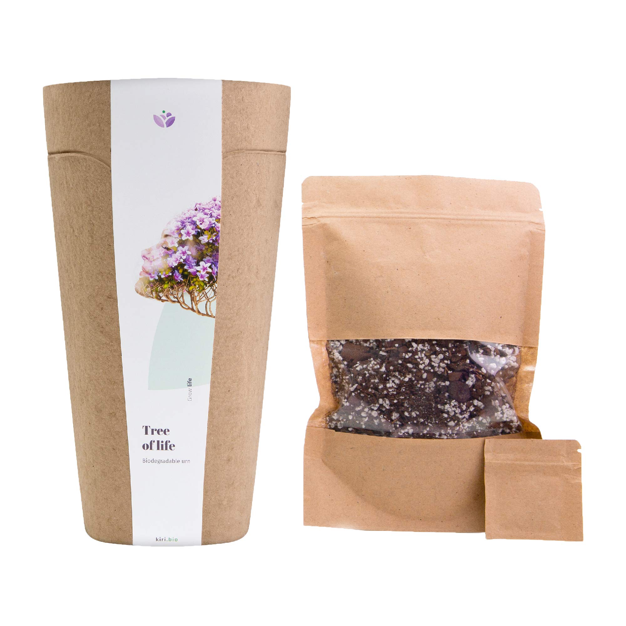 KIRI Biodegradable Tree Urn for Cremated Ashes - Eco Burial Urn. Grow a Living Memory Tree from The Ashes. Tree Seed (Apple Tree)