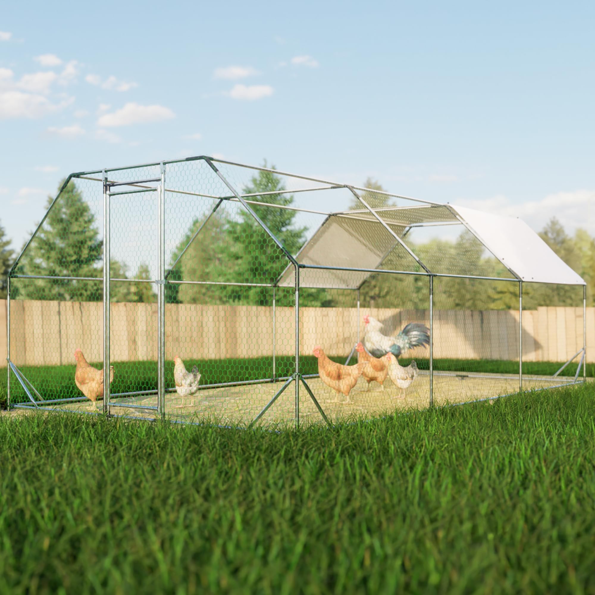 HOMLOVLY Large Metal Chicken Coop, Walkin Chicken Run