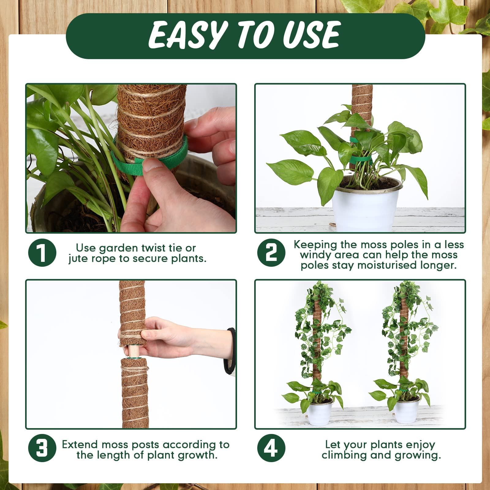 30 Stück Moosstangen für Pflanzen, Monstera, 41.5 cm, Monstera-Pflanzenunterstützung mit 10 Stück 16.5 m Juteseil und 18 m grünes Pflanzenband für Innen- und Außenbereich, Kletterpflanzen th