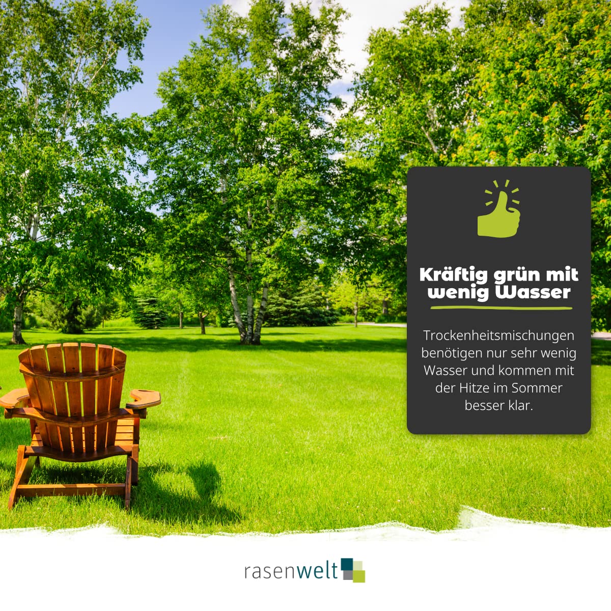 ARENA Trockenrasen Grassamen RSM 2.2.2 10kg – wassersparender Rasensamen für heiße Standorte – hitzeverträglich & pflegeleicht – ideal für sonnige, trockene Gärten