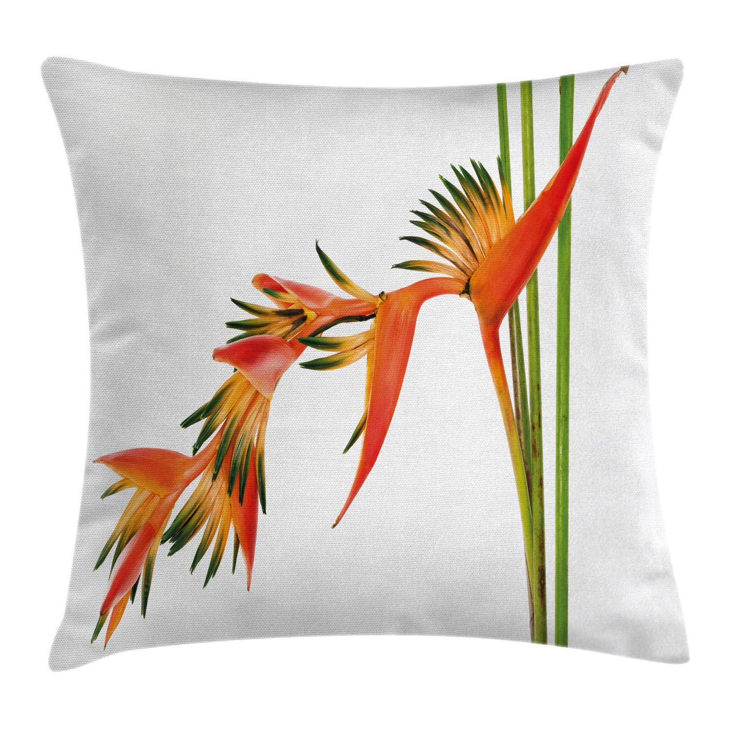 ABAKUHAUS Floral Throw Pillow Cushion Cover, Exotic Tropical Flowers on  Branch Colorful Nature Jungle Garden Theme Image Print, Decorative Square