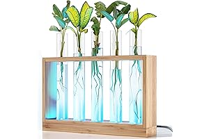 Light-Up Vial Air Planter: Unique Home Decor for Plant Lovers & New Homeowners