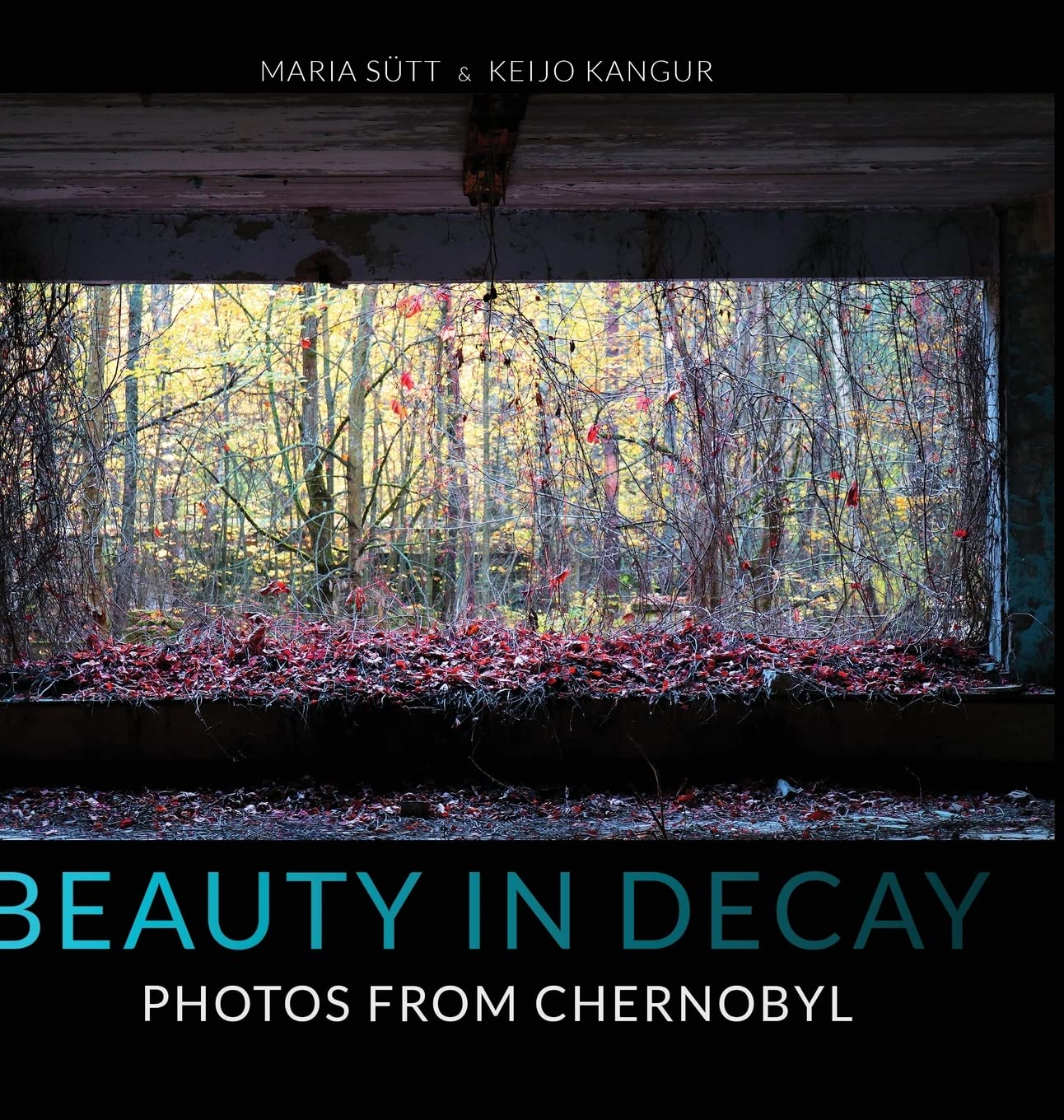 Beauty in Decay: Photos from Chernobyl