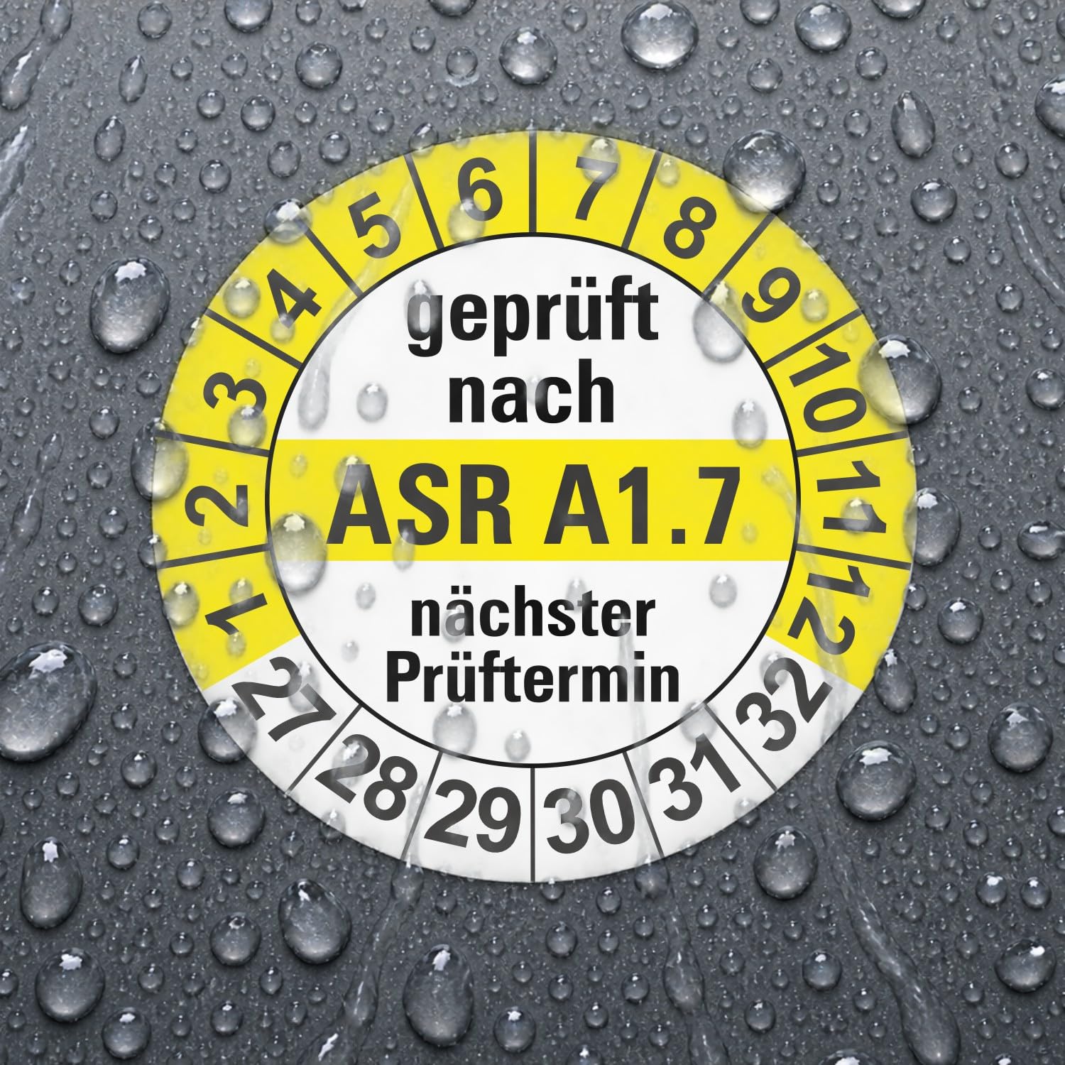 Hochwertige Prüfetiketten ASR A1.7 Prüfung Ø 20mm - Selbstklebende PVC-Folie - Wartungsetiketten für Prüfung - Prüfplakette für Prüfungsnachweis (1000 Stück)