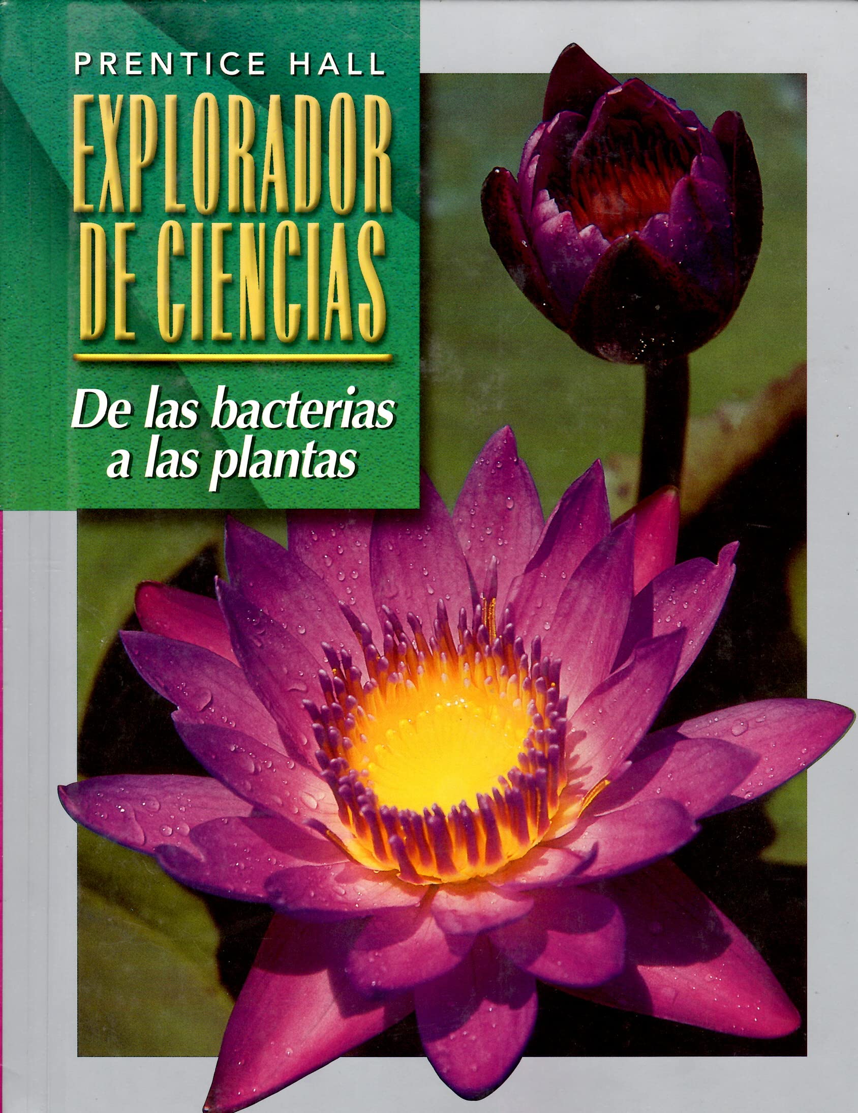 Span Sci Explorer from Bacteria to Plants Se 2000