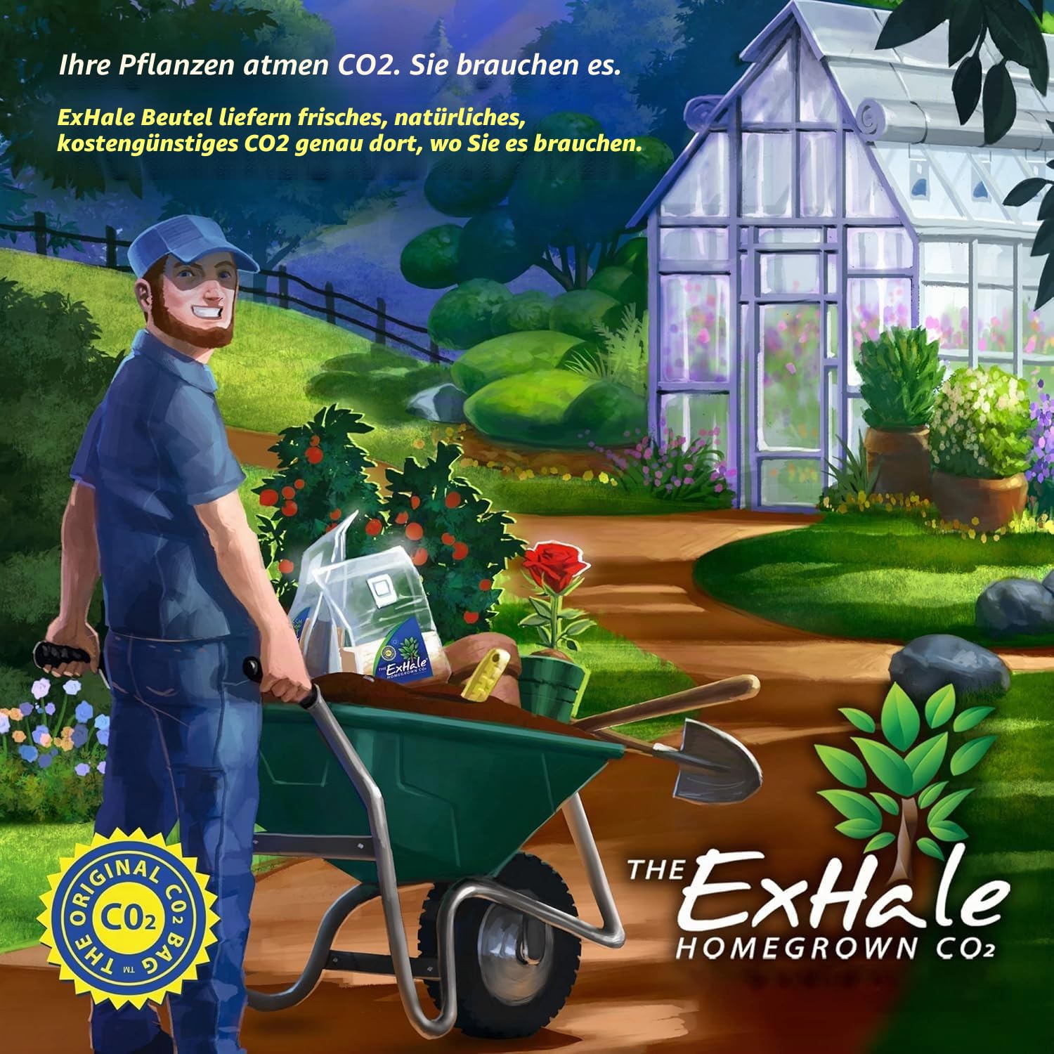 ExHale CO2 für Zimmerpflanzen
