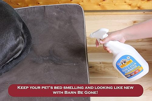 Miniatura 7 de BARN BE GONE Superhero Strength Stain & Pet Olor Eliminator  Enzyme Carpet Cleaner Spray para mascotas  Removedor de manchas para mascotas para