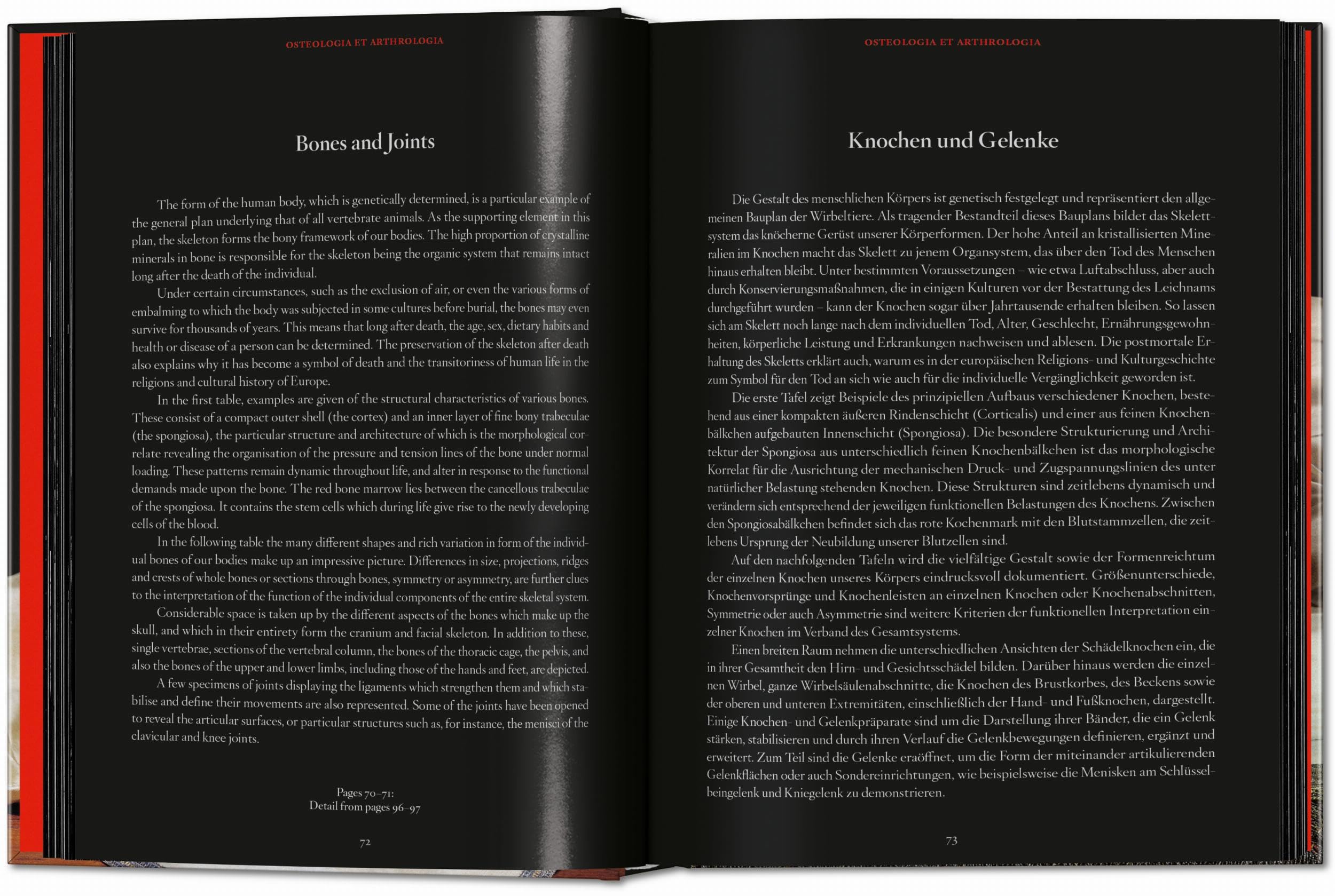 Anatomical Waxes. 45th Ed. (45th Edition)