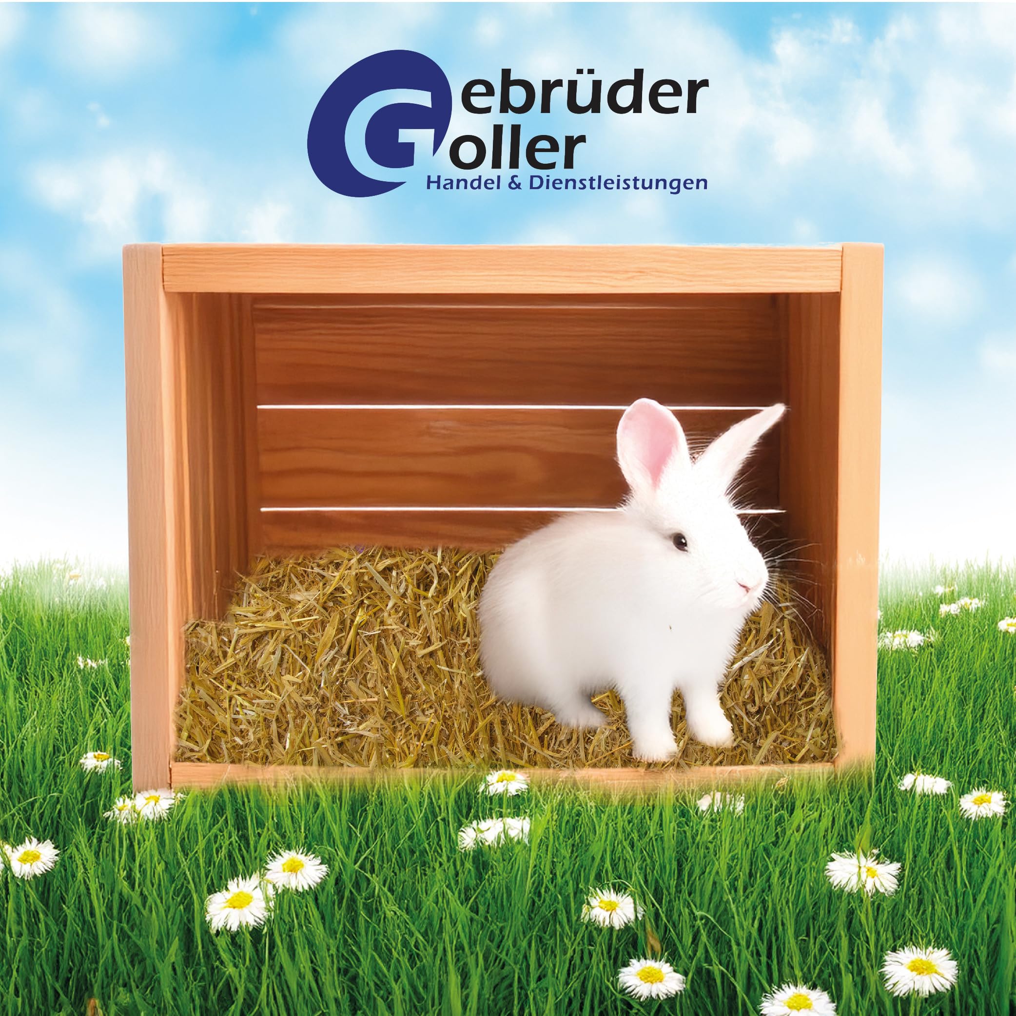 10 kg Stroh + 10kg Heu – Strohballen und Heuballen für Kleintiere - für Kaninchen, Meerschweinchen, Hamster und andere Nager – auch als dekostroh oder heu deko - Direkt aus Bayern