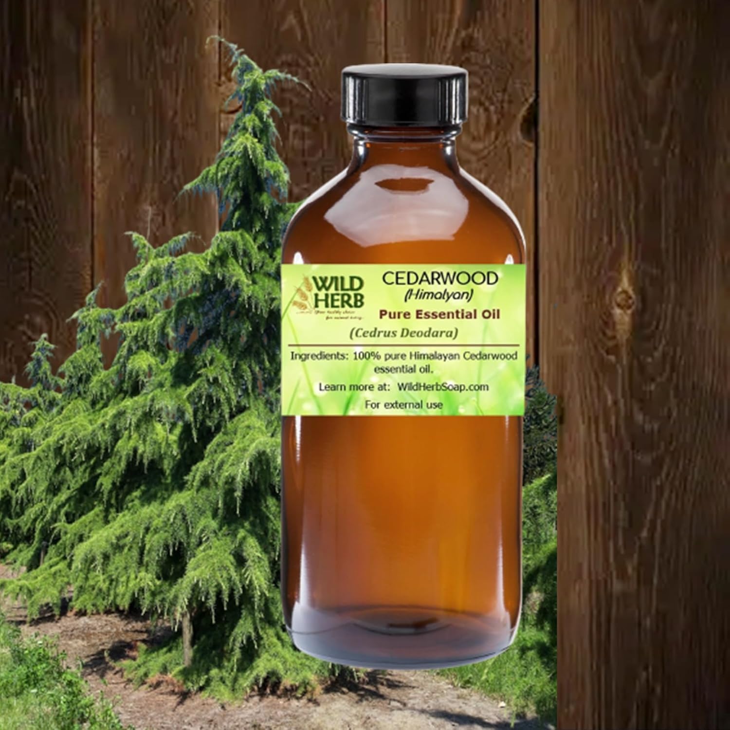 Wild Herb Himalayan Cedarwood Pure Essential Oil