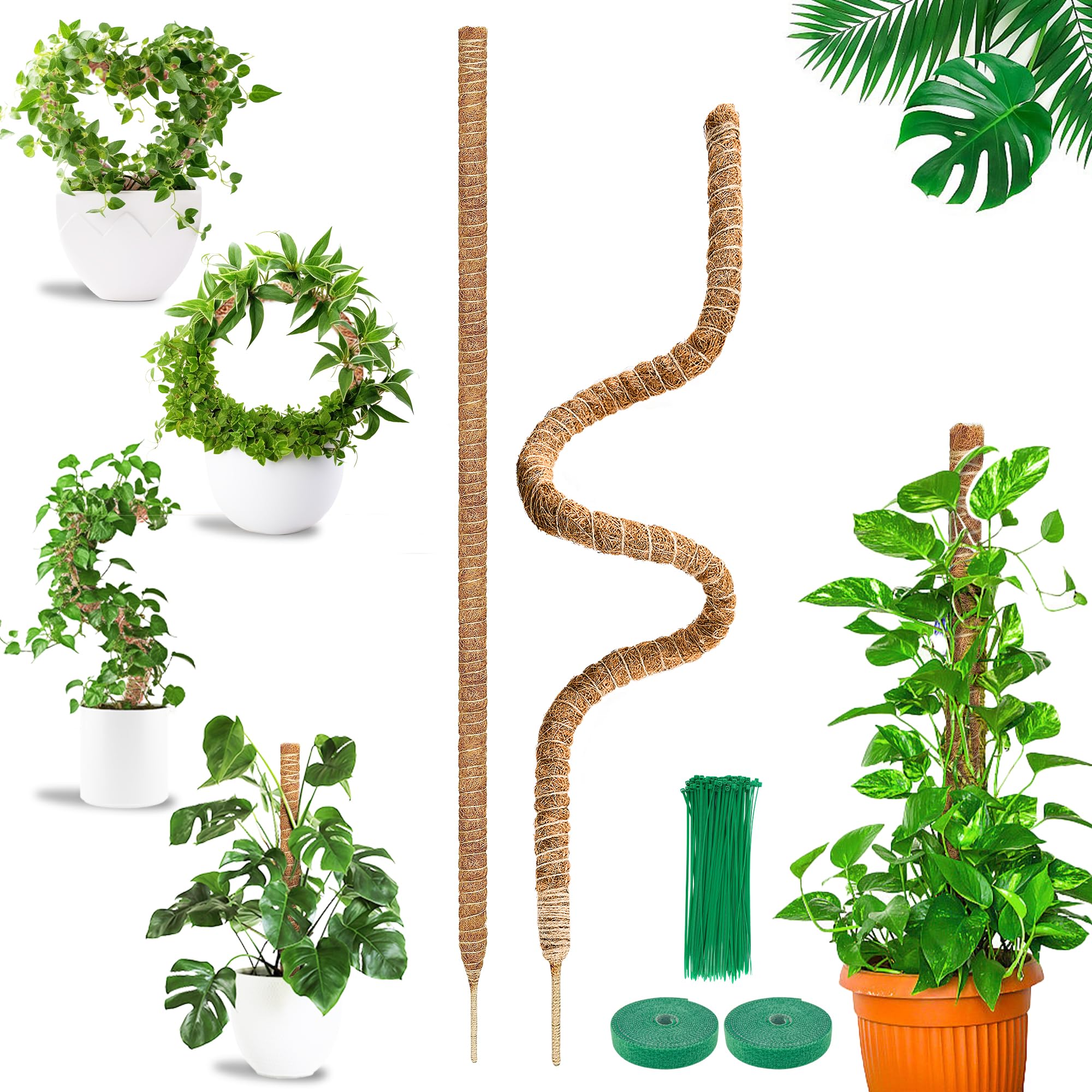 COZCLAM Tutores para Plantas, 2 Piezas 160cm Estaca de Fibra de Coco, Palo de Musgo, Soportes Plegables para Plantas, Tutor Monstera, Soporte Monstera para Plantas Trepadoras de Crecimiento Ascendente