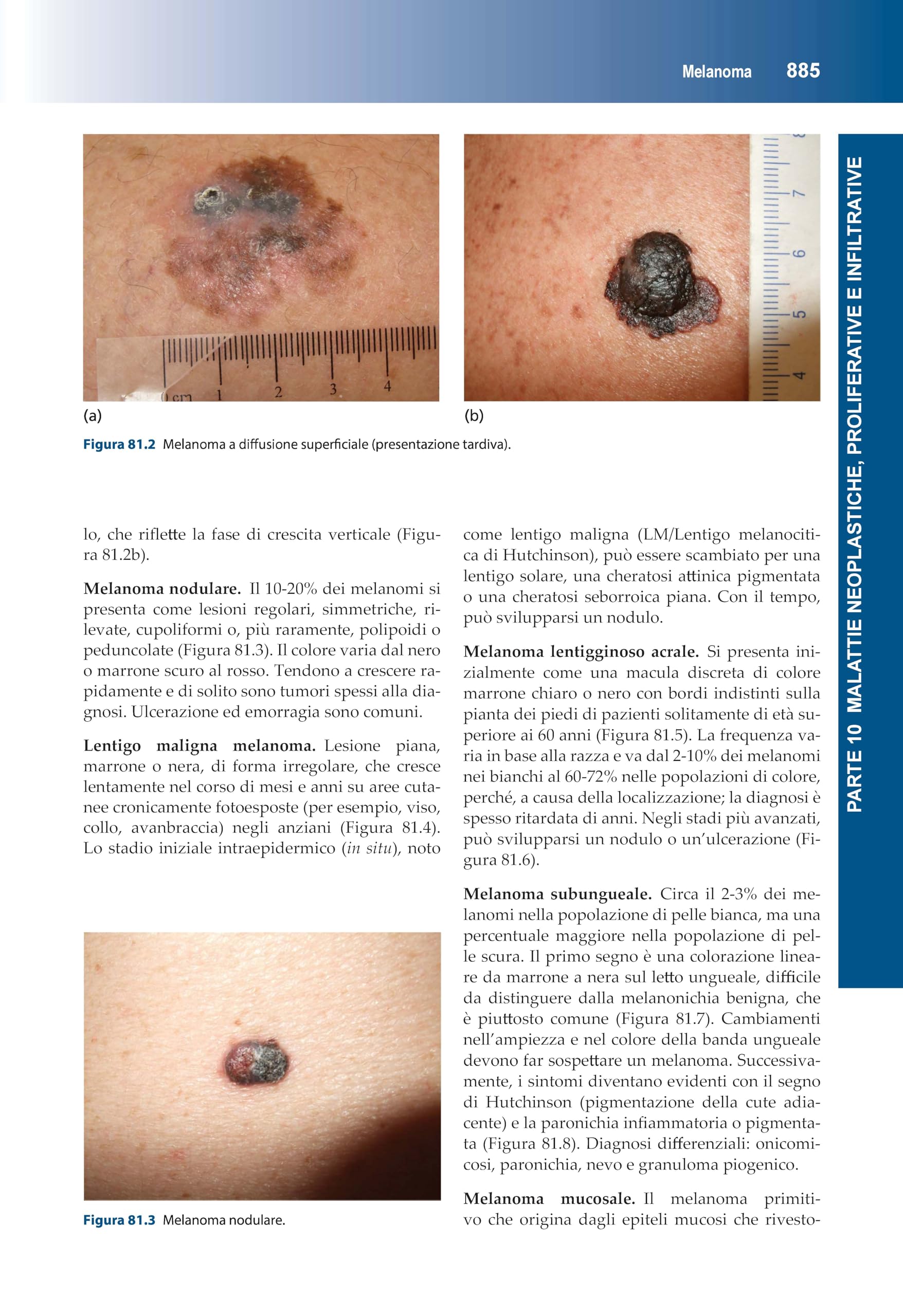Manuale di dermatologia di Rook