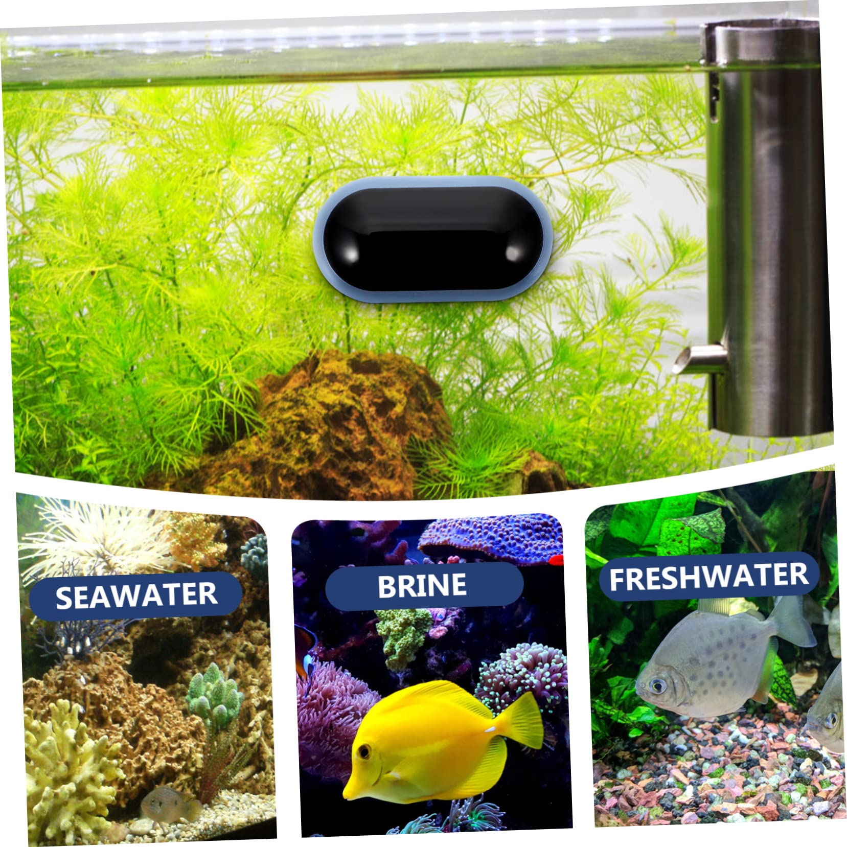BESPORTBLE 3pièces Thermomètre Numérique Pour Aquarium Outil De Mesure De Température De Eau Design Adhésif Miniature Précision Et Durabilité Parfait Pour Suivi Température Des