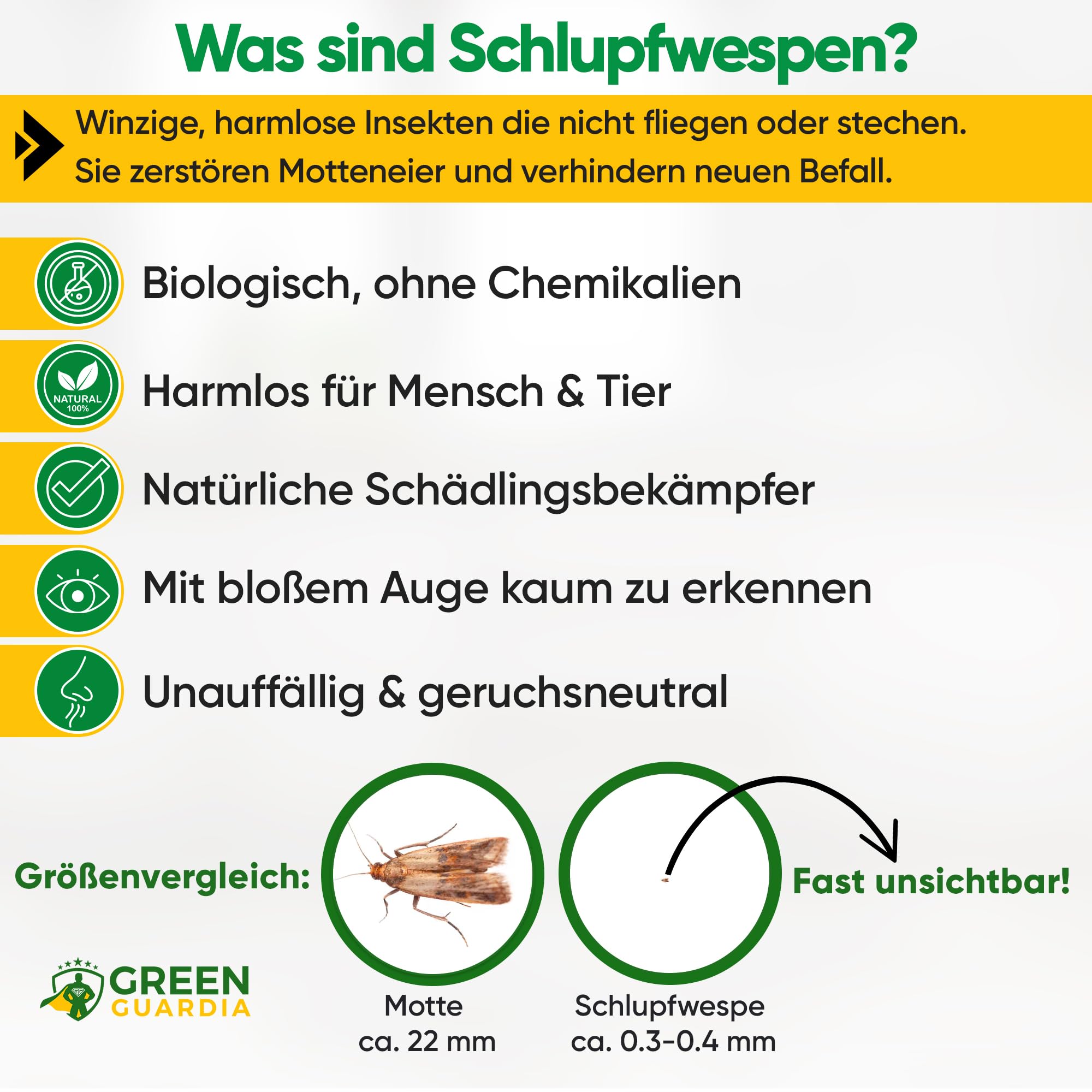 GREEN GUARDIA Vespe contro le tarme, 1 biglietto da 4 consegne, efficace contro le tarme, alternativa biologica ed ecologica alle trappole per tarme, spray per tarme, trappola per feromi