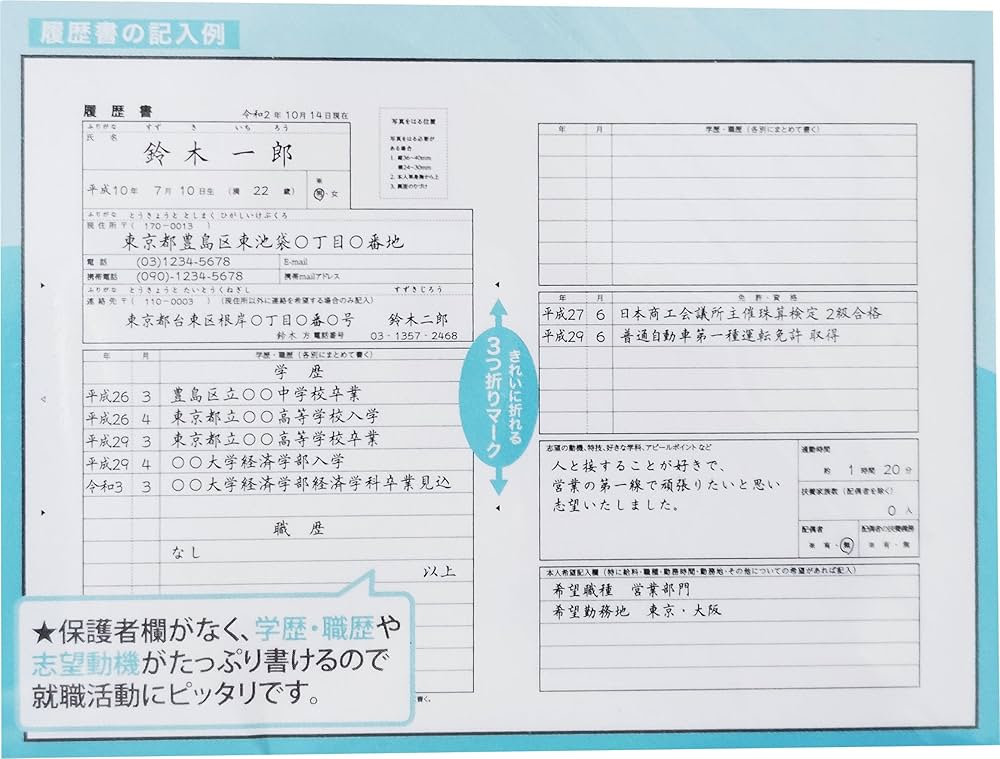 職務経歴書　確認用 職務経歴書の書き方完全ガイド｜見本と職種別例文サンプル集