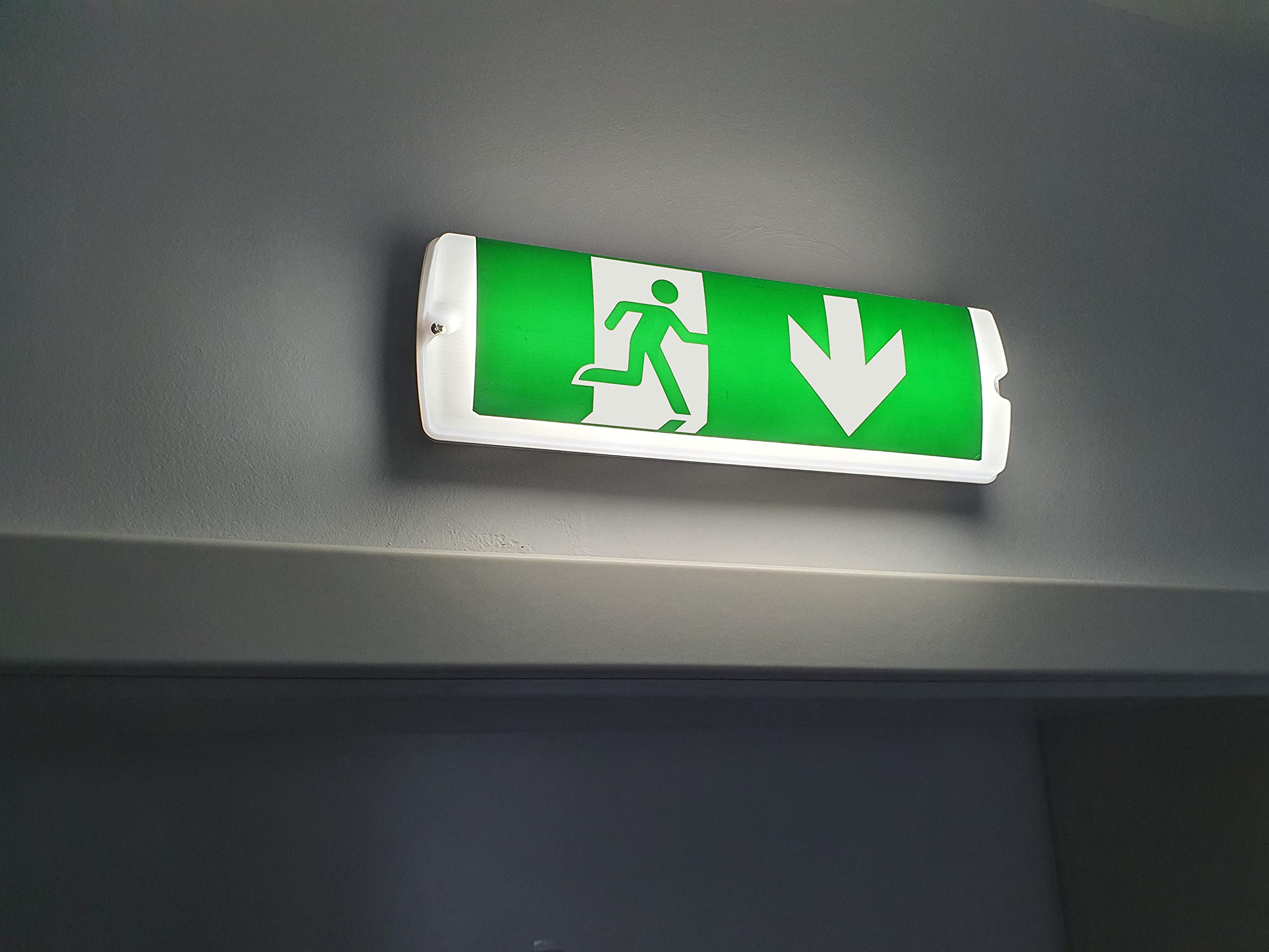 Impoveriscono è Abbastanza Tempo Metereologico Lampada Uscita Emergenza Storia Orale Artico - Foto 9