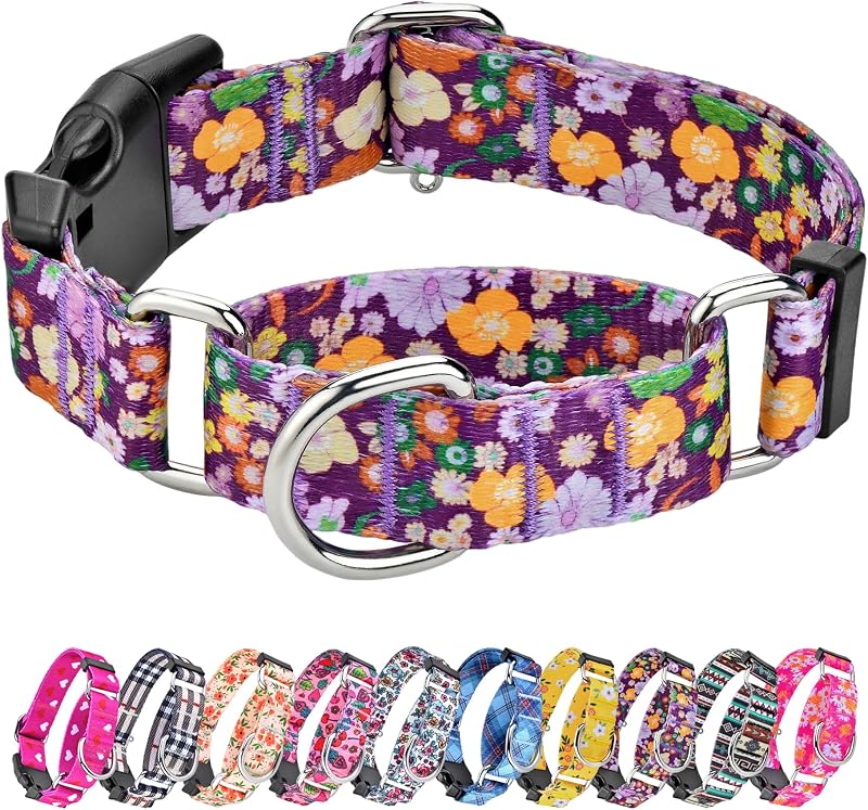 Coleira Martingale Ajustável de Nylon para Cães Hikiko com Estampa Especial, Tamanho L
