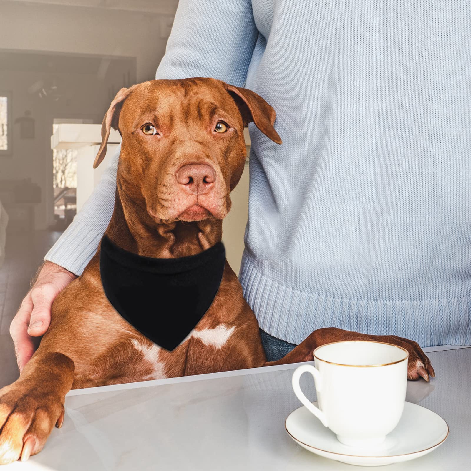Bandana per animali domestici, 12 pezzi, a forma di triangolo, per cani e gatti, colore: nero