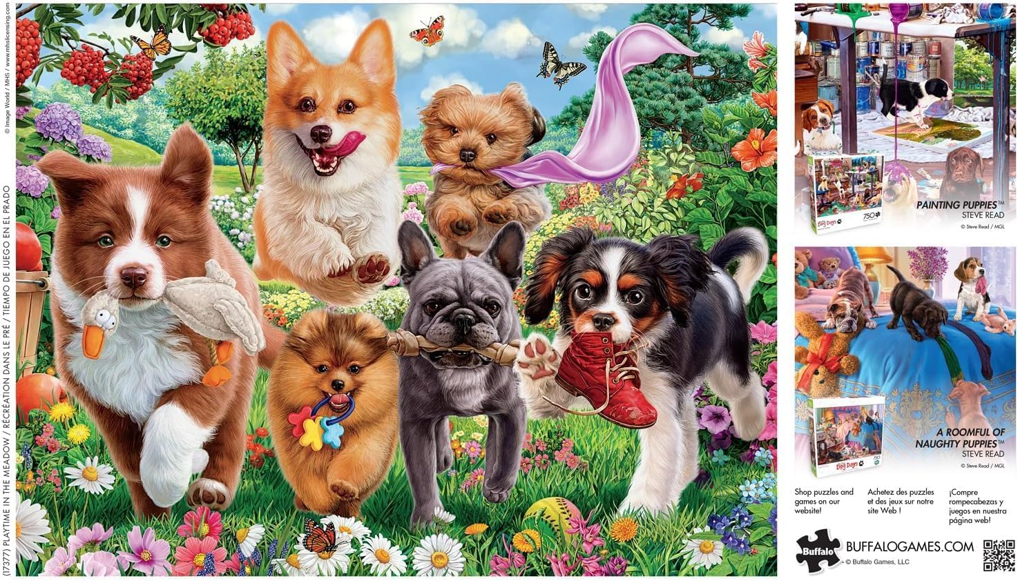 Buffalo Games - Image World - Playtime in The Meadow - 750 Piece Jigsaw Puzzle for Adults -Challenging Puzzle Perfect for Game Nights - Finished Size is 24.00 x 18.00