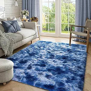 Fuzzy Blue White Rug for Bedroom Soft Fluffy 3x5 ft Living Room Rug Non-Slip Area Rugs Shag Carpet for Nursery Kids Play Room Dorm Office Indoor Modern Plush Carpets
