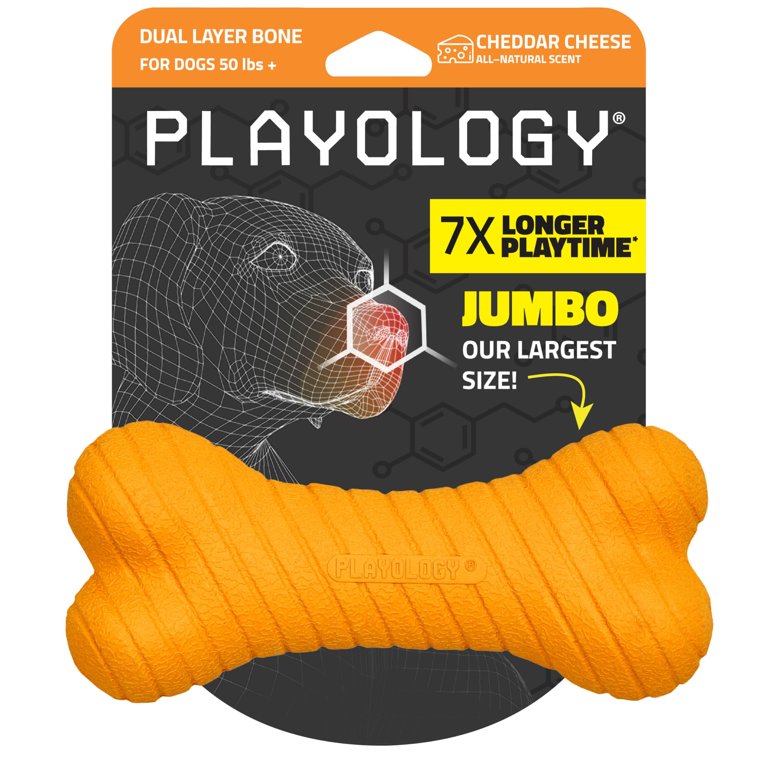 Playology Dog Toys | Dual Layer Bone Durable Chew Toy Bone for Dogs | Jumbo Cheddar Cheese Scented Toy - Easy to Clean and Made from Non Toxic