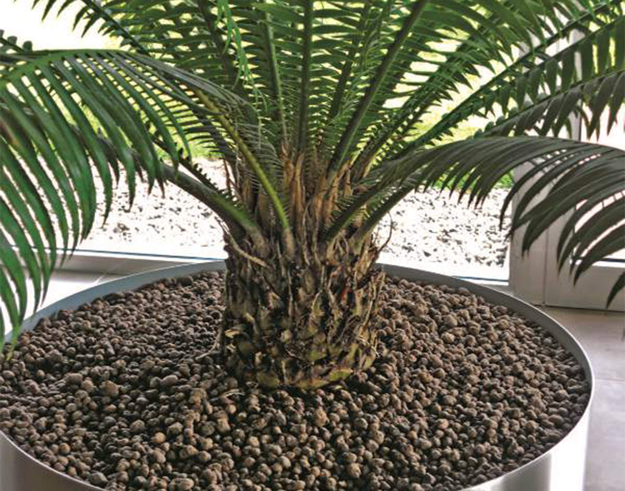 DMS Laterlite - Billes d’Argile de 3 à 8 mm – A Forte Rétention d’Eau – Spécial Jardinage - Sac de 50 litres