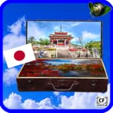 Der Reiseführer : Japan erleben 100min. Kunst & Kultur