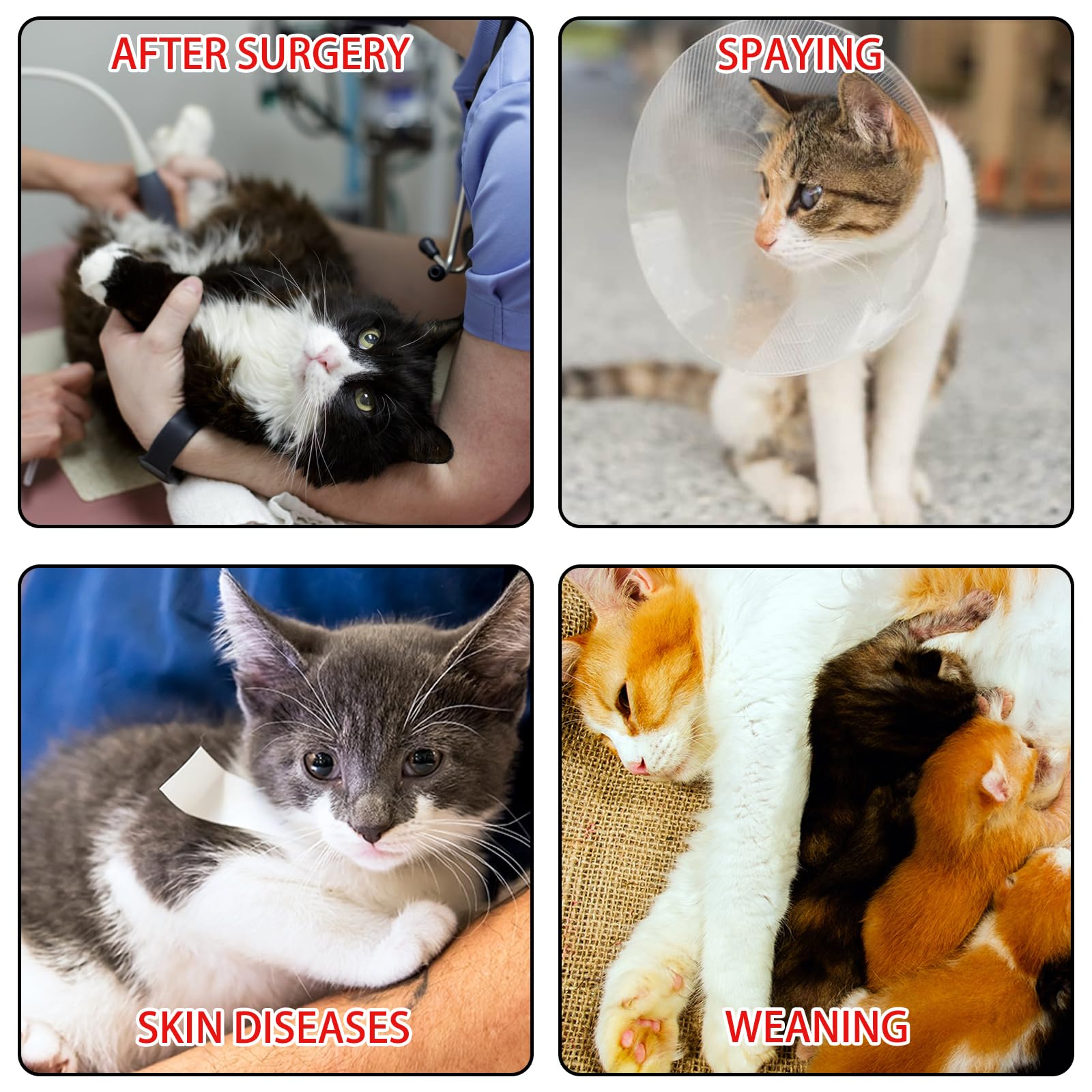 GIEEU 2 Pack Cat Recovery Suit - Image 3