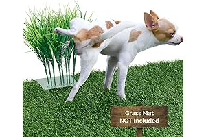 Artificial Lemon Grass Plants Pee Post for Dogs Potty Training