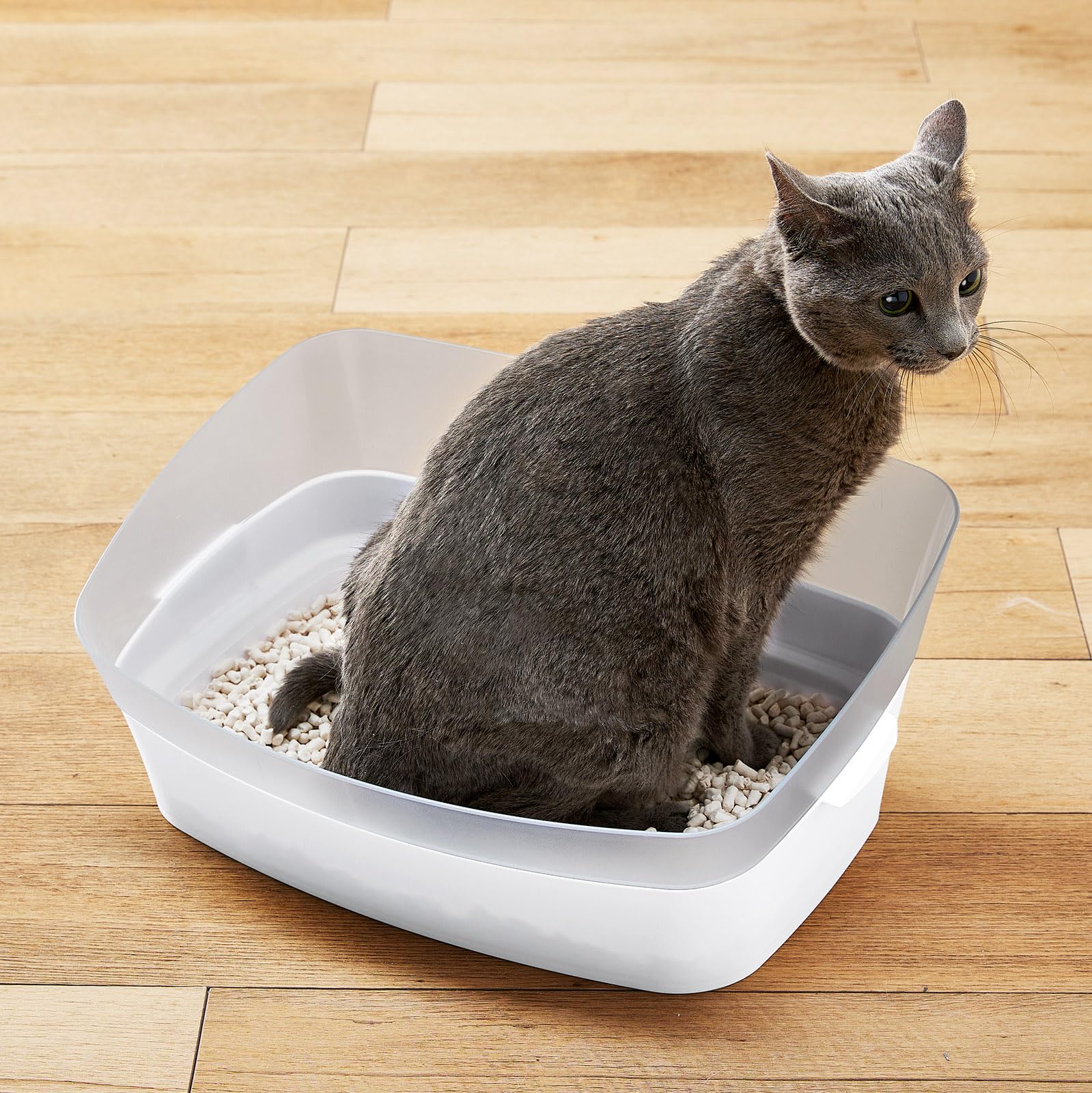 Amazon.co.jp: Bonbi Discipline Toilet Clear Cat S : Pet Supplies