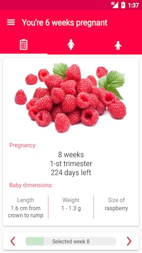 Pregnancy Tips - Week by week