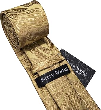 Barry.Wang Men Tie Set Paisley Silk Necktie Pocket Square Cufflinks Formal Wedding Business Party