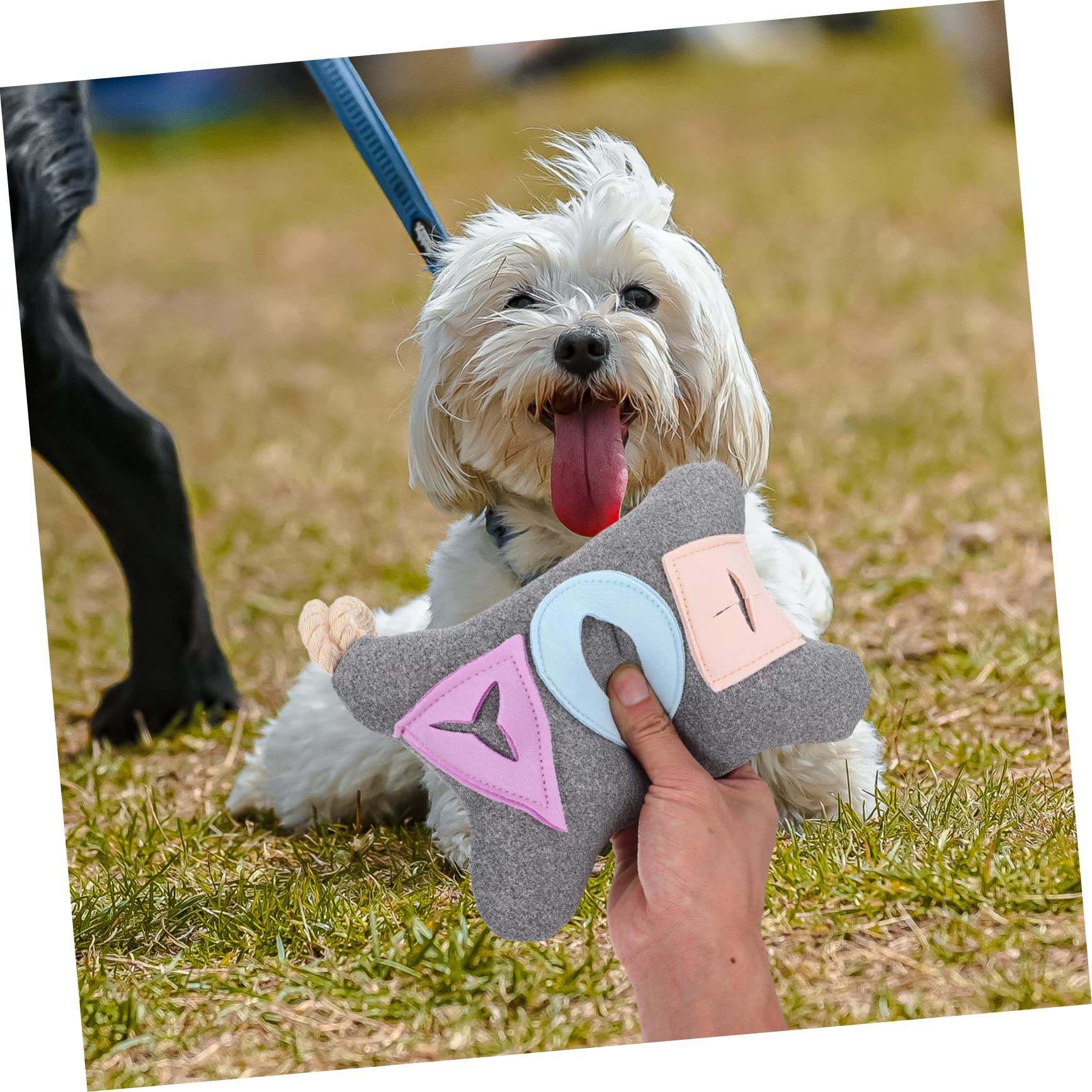 Mipcase 5stücke Puppy Snuffle Mat Für Hunde Interaktives Futterspielzeug Geistigen Für Indoor-Training Und Futterverstecken Robust Und Für Kleine Und Mittelgroße Hunde