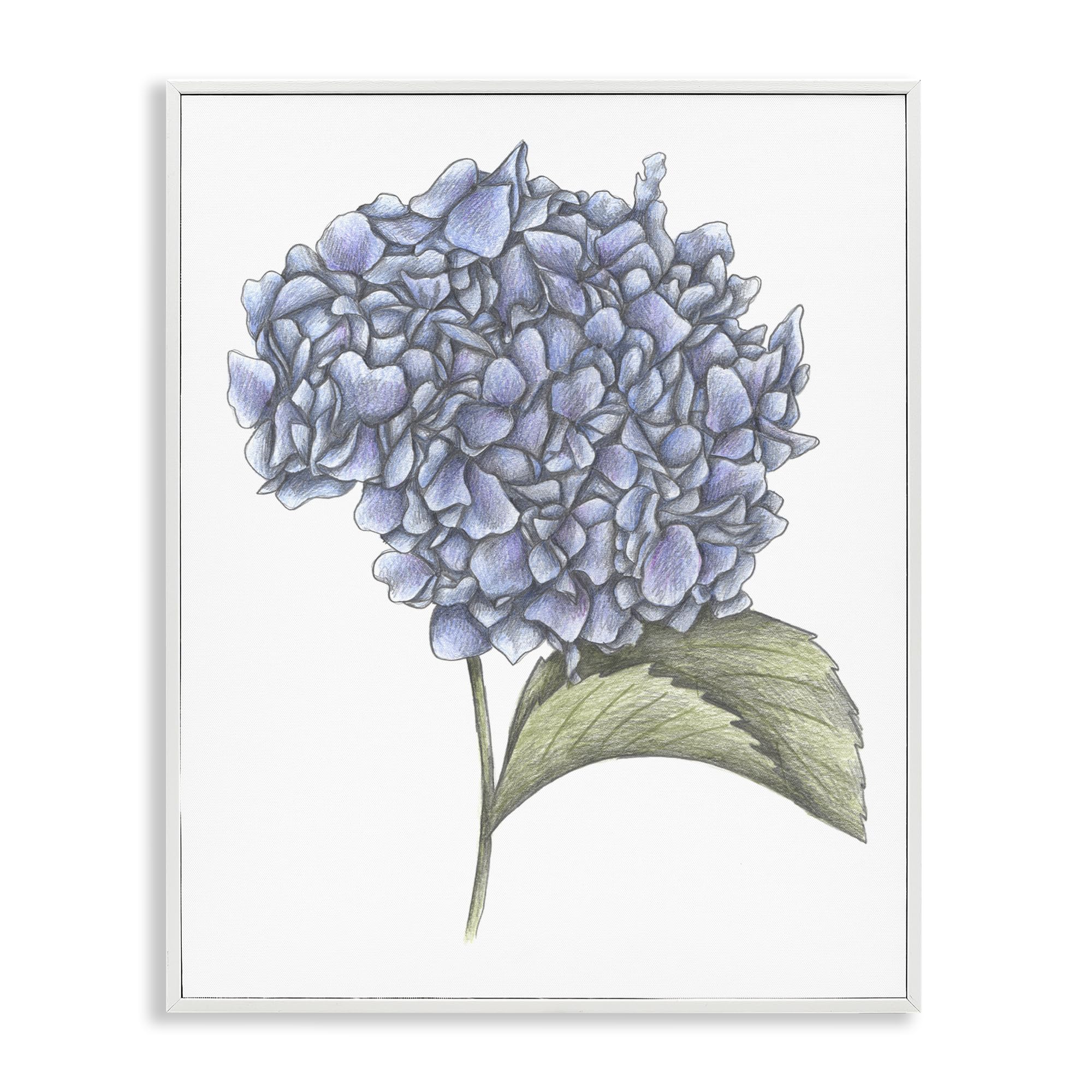Croquis d'hortensia blanc rompre la monotonie d'un mur vide cadre Battaini
