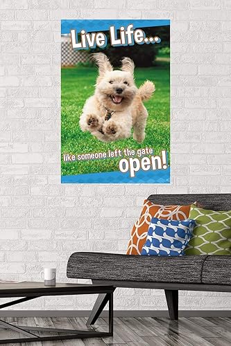 Miniatura 2 de Trends International Avanti - Póster de pared Dog Joy, 22.375 x 34 pulgadas, versión sin marco